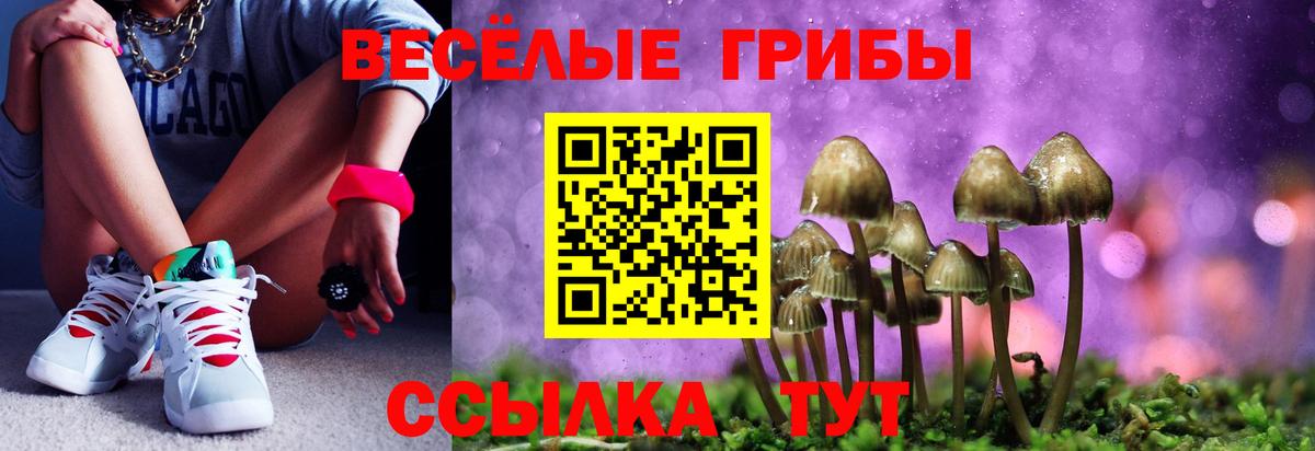 Псилоцибиновые грибы мицелий  Псилоцибиновые грибы Psilocybine cubensis  где продают наркотики  Нефтекамск  Вход с VPN 